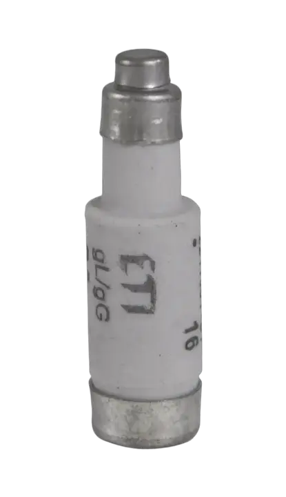Image of D01 gG 2A/400V
