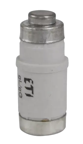Image of D02 gG 20A/400V