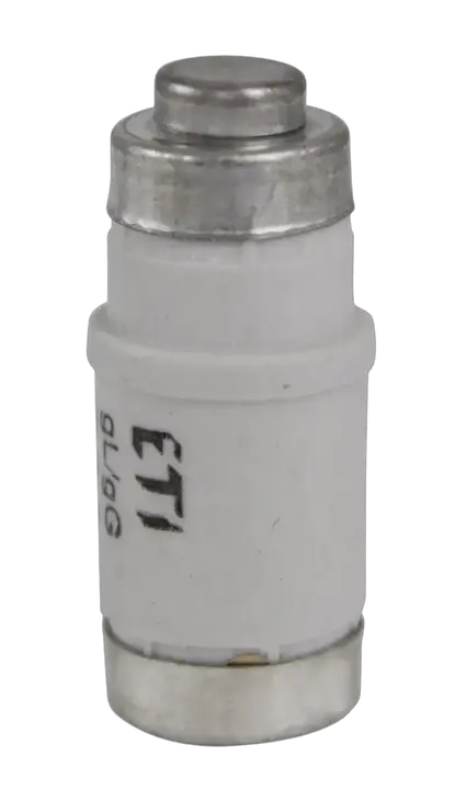 Image of D02 gG 63A/400V