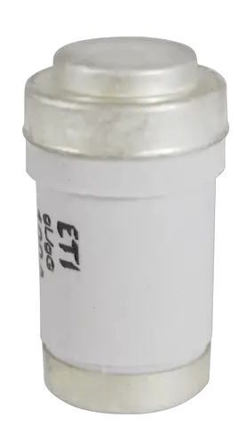 Image of D03 gG 100A/400V
