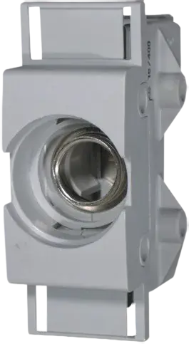 Image of *PP D01 K 3p