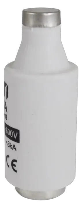 Image of DIII gG 2A/690V