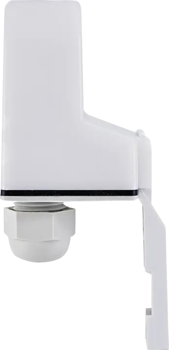 Image of *EDIGI-SN