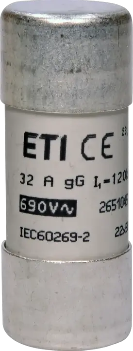 Image of CH22x58 gG 32A/690V
