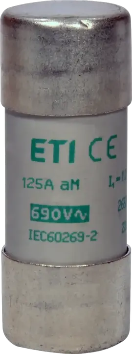 Image of CH22x58 aM 125A/500V