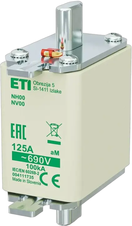 Image of NH00 aM 125A/690V