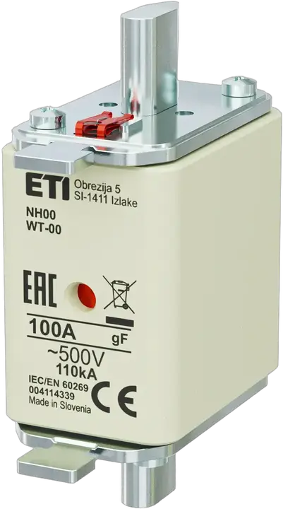 Image of NH00 gF 100A/500V