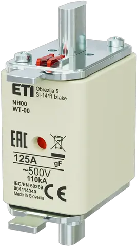 Image of NH00 gF 125A/500V
