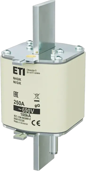 Image of NH3/K gG 250A/690V