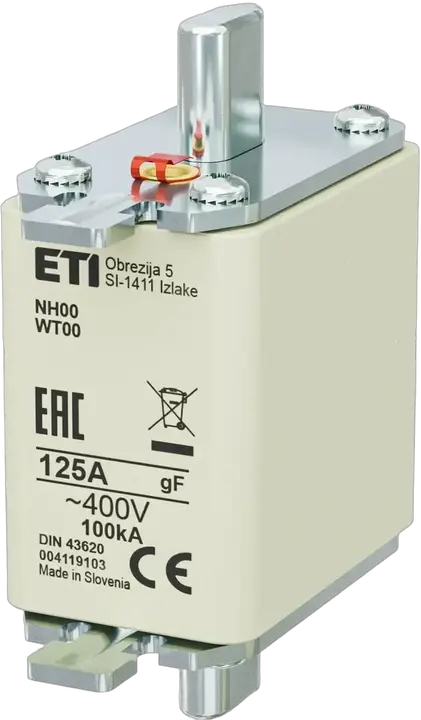 Image of NH00 gF 125A/400V