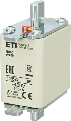 Image of NH00 gF 125A/400V