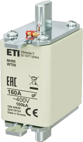 Image of NH00 gF 160A/400V