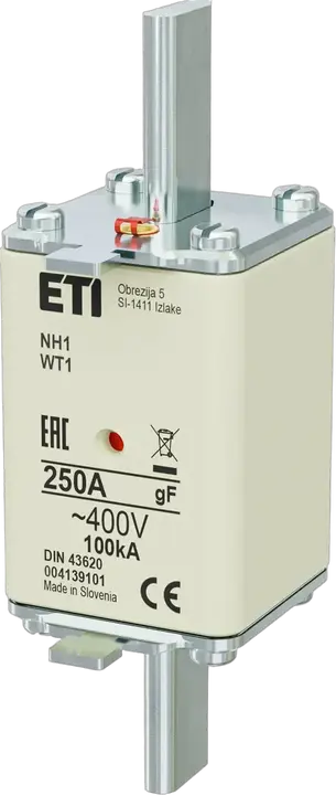 Image of NH1 gF 250A/400V