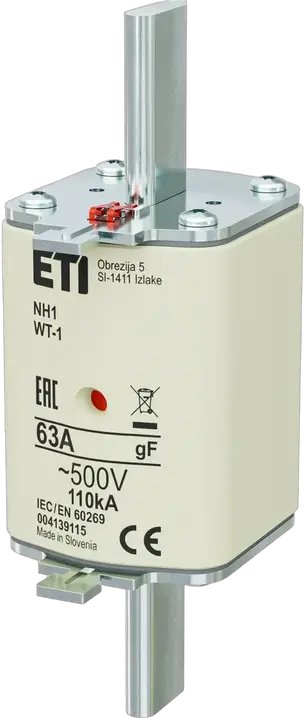 Image of NH1 gF 63A/500V