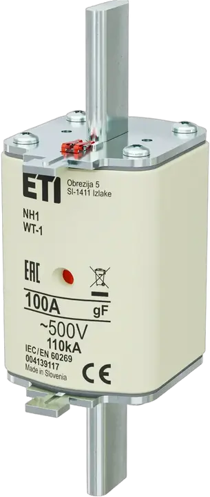 Image of NH1 gF 100A/500V