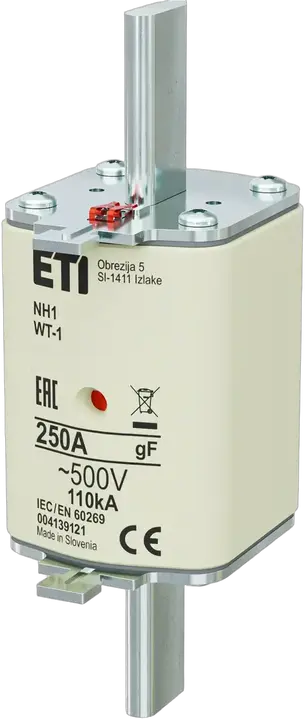 Image of NH1 gF 250A/500V
