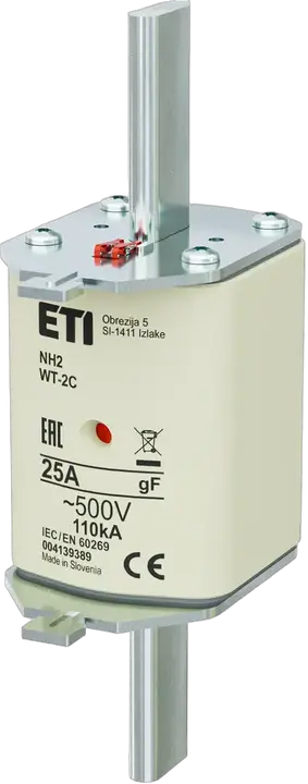 Image of NH2C gF 25A/500V