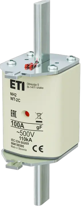 Image of NH2C gF 100A/500V