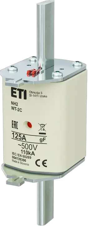 Image of NH2C gF 125A/500V