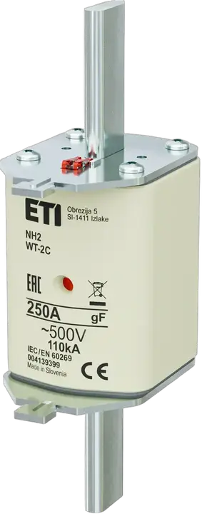 Image of NH2C gF 250A/500V