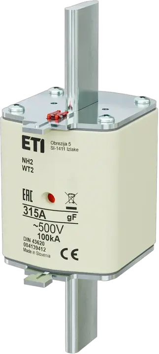 Image of NH2 gF 315A/500V