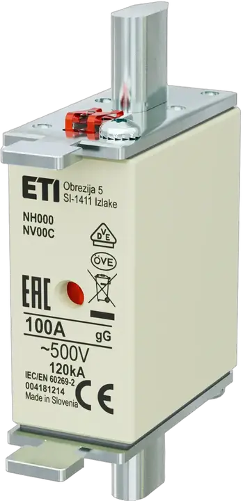Image of NH000 gG 100A/500V