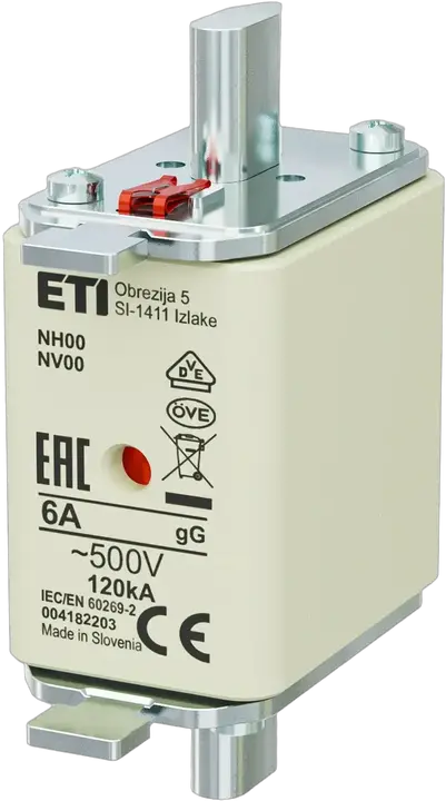 Image of NH00 gG 6A/500V