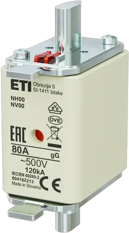 NH00 gG 80A/500V