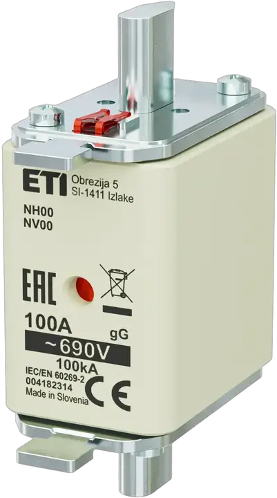 Image of NH00 gG 100A/690V