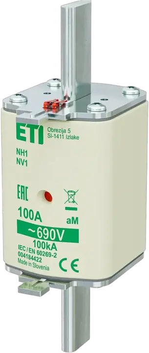 Image of NH1 aM 100A/690V