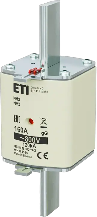 Image of NH2 gG 160A/800V