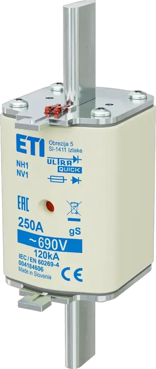 Image of NH1 gS 250A/690V