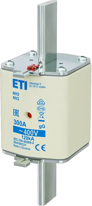 Image of NH2 gG 300A/400V