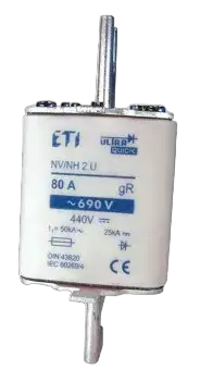 Image of NHS1/110 UQ gR 50A/690V