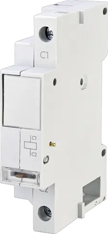 Image of *MSP-A 24