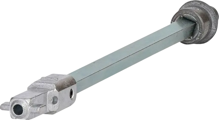 Image of *CLBSV-S200 I-I+II-II