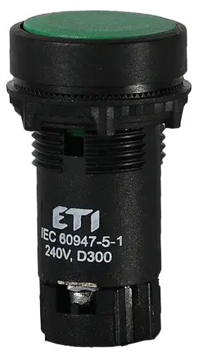 Image of *TN12C2