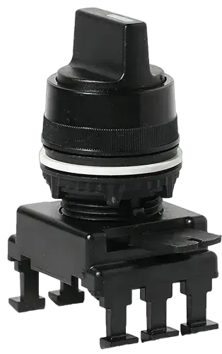 Image of *HK65C3