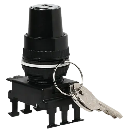 Image of *HK85C3