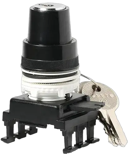 Image of *HL85C3