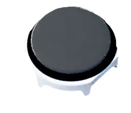 Image of *HH182008