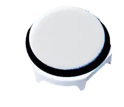Image of *HH196011