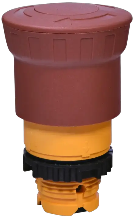 Image of NSE-PBM-T-R