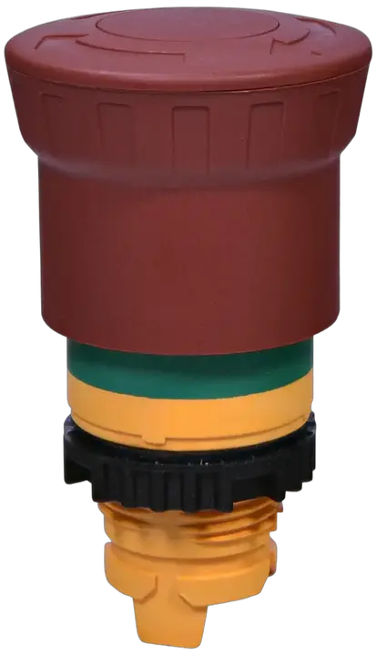 Image of NSE-PBM-T-RGM