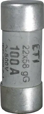 Image of CH22x58/P gG 4A/690V